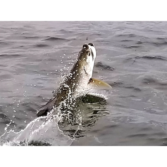 How Long Should My First Fishing Charter Be? | Beginner Tips for Tampa Bay