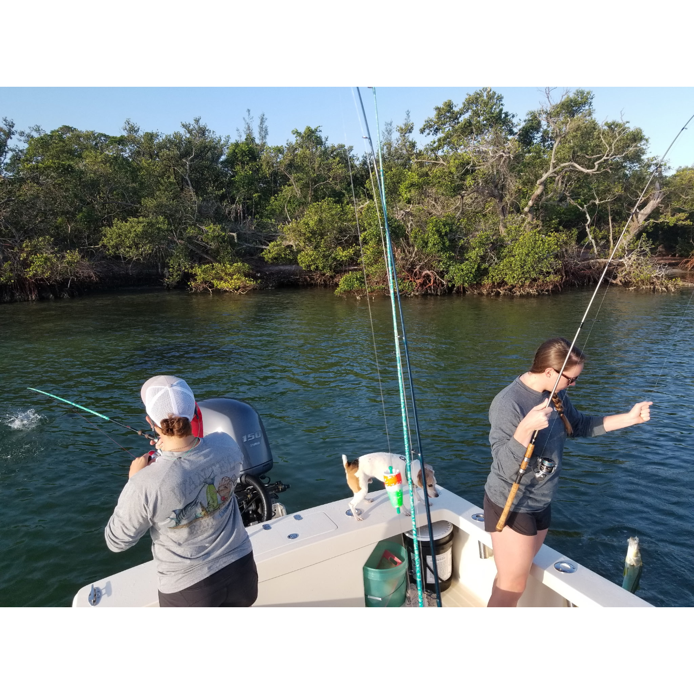 Two people on a boat fishing catching fish at the same time with trees and water in the background